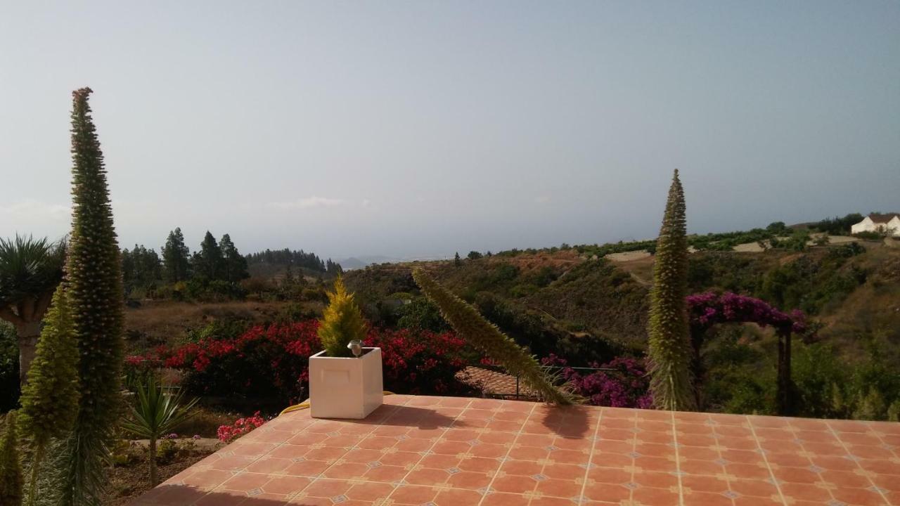 Finca Dulce Granadilla De Abona Exterior foto