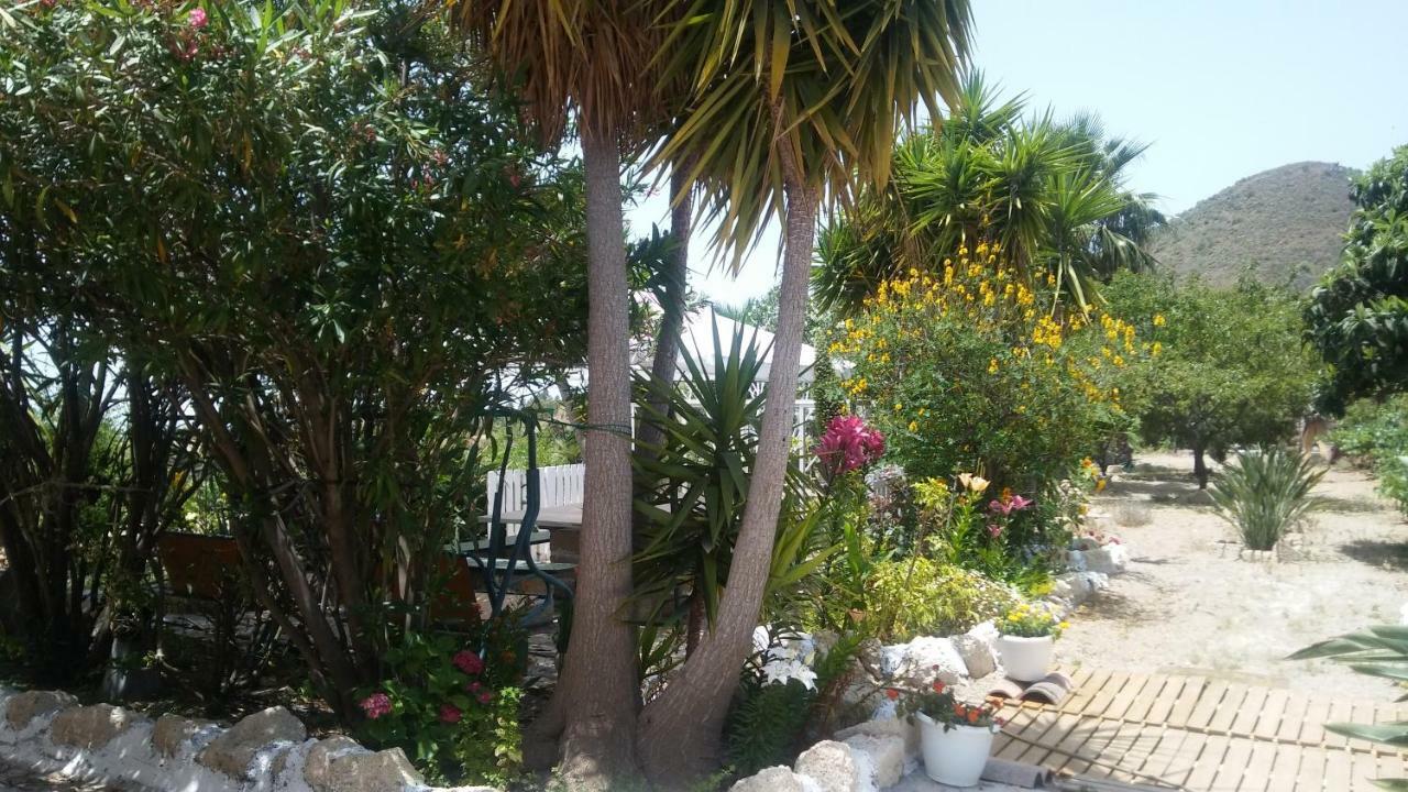 Finca Dulce Granadilla De Abona Exterior foto